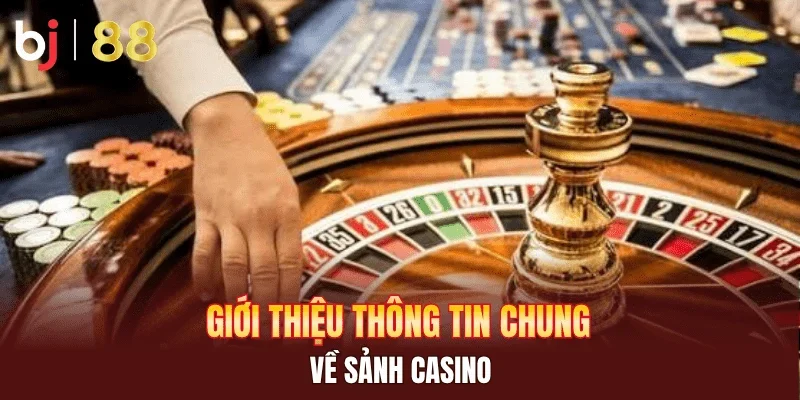 Giới thiệu thông tin chung về sảnh casino