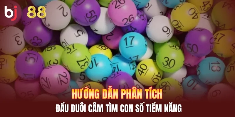 Hướng dẫn phân tích đầu đuôi câm tìm con số tiềm năng